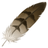 feather