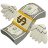 money with wings